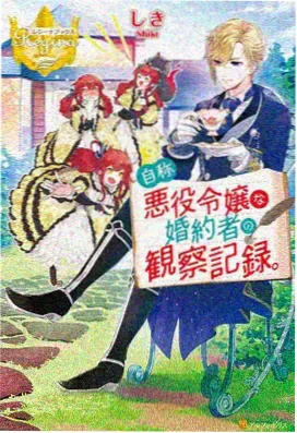 长条分镜样本 011 的长条分镜版式示意图